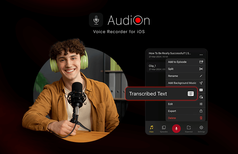 What does audio transcription mean
