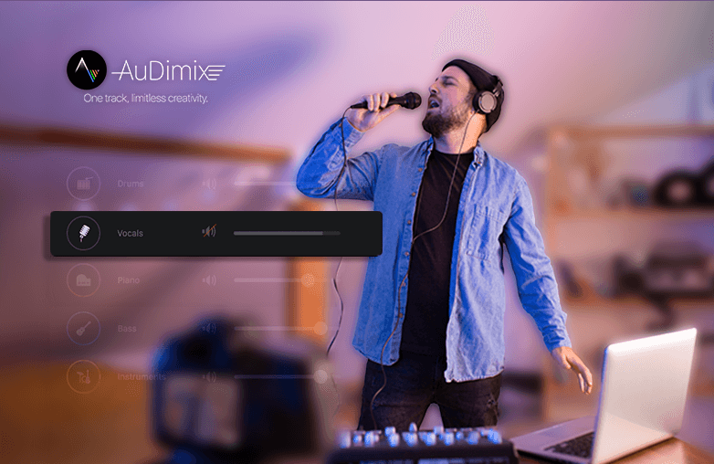 What is the best vocal remover software