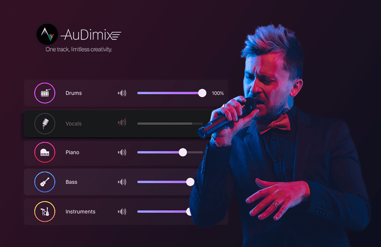 What is vocal remover software