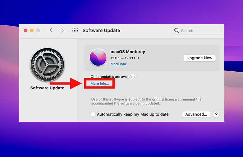 Keep macOS updated